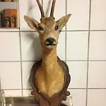Schoepf 아파트 *