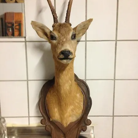 Schöpf Apartment *